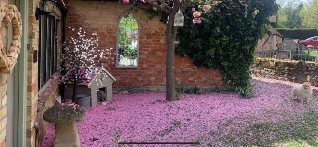 Piglet Cottage Pebworth Exteriér fotografie